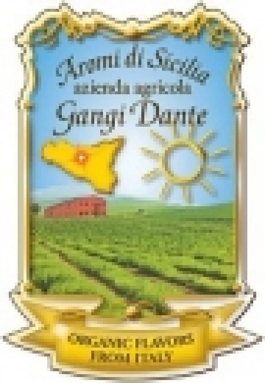 Gangi Dante